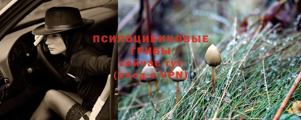 герыч Кодинск