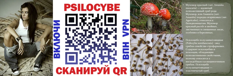 Псилоцибиновые грибы ЛСД  Купить  Кремёнки 